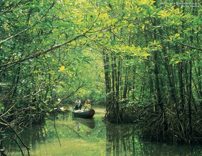 Las 11 mejores reservas mundiales de biosfera en Vietnam